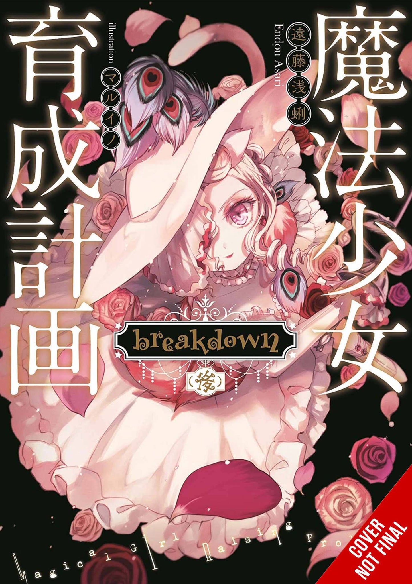 MAGICAL GIRL RAISING PROJECT LIGHT NOVEL SC VOL 15 (MR) (C: