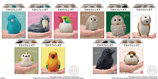 TENORI FRIENDS 7 BIRDS SHOKUGAN FRIENDS 12PC BMB DS (NET) (J