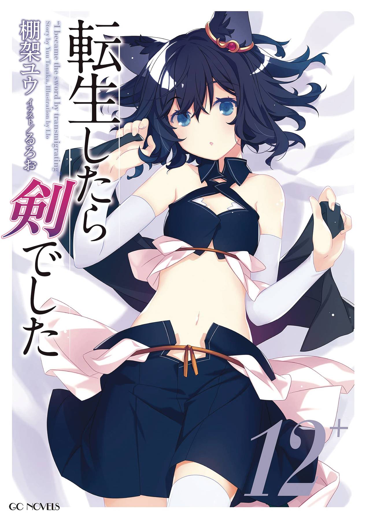 REINCARNATED AS A SWORD LIGHT NOVEL SC VOL 12 (C: 0-1-1)