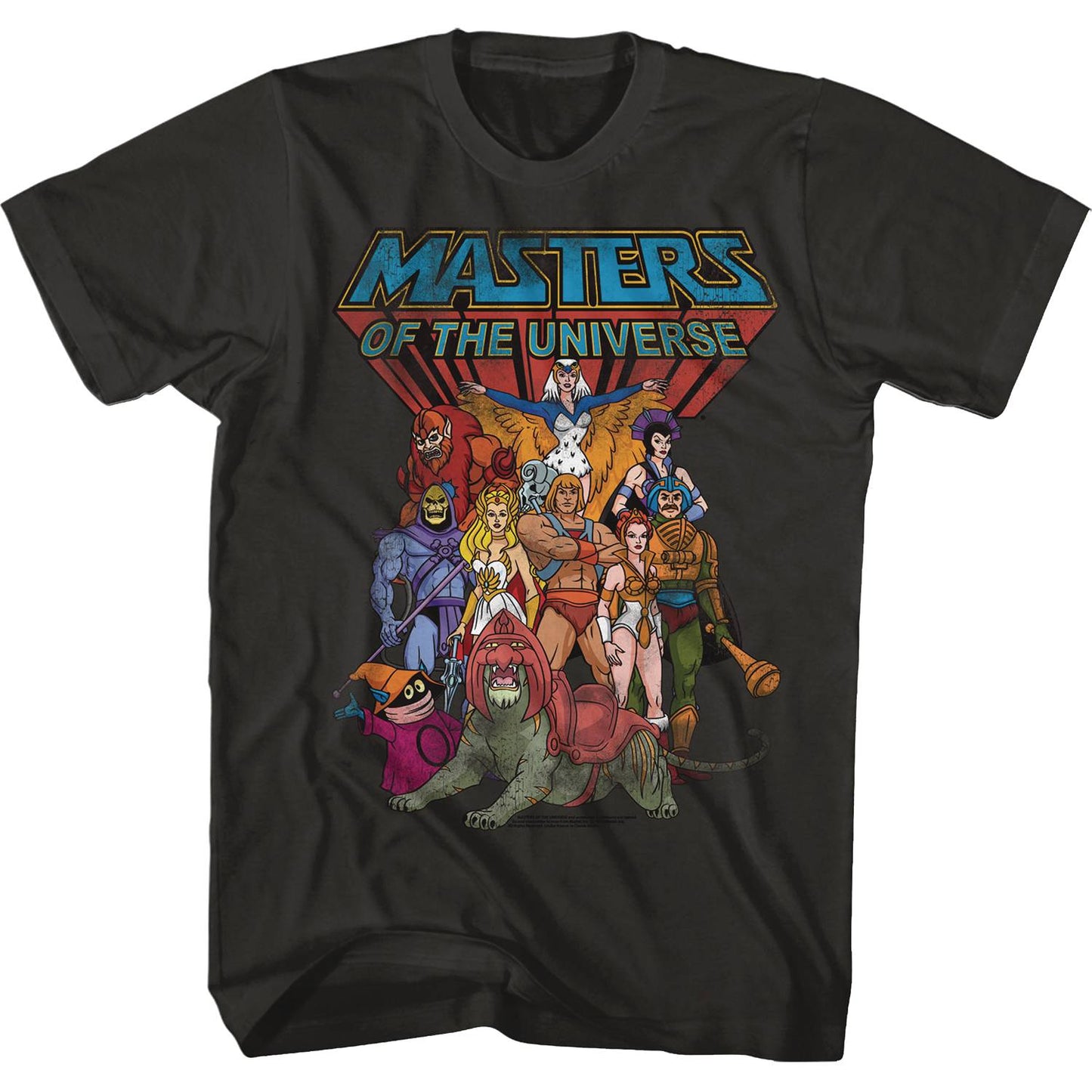 MASTERS OF THE UNIVERSE THE WHOLE GANG T/S MED (C: 1-1-2)